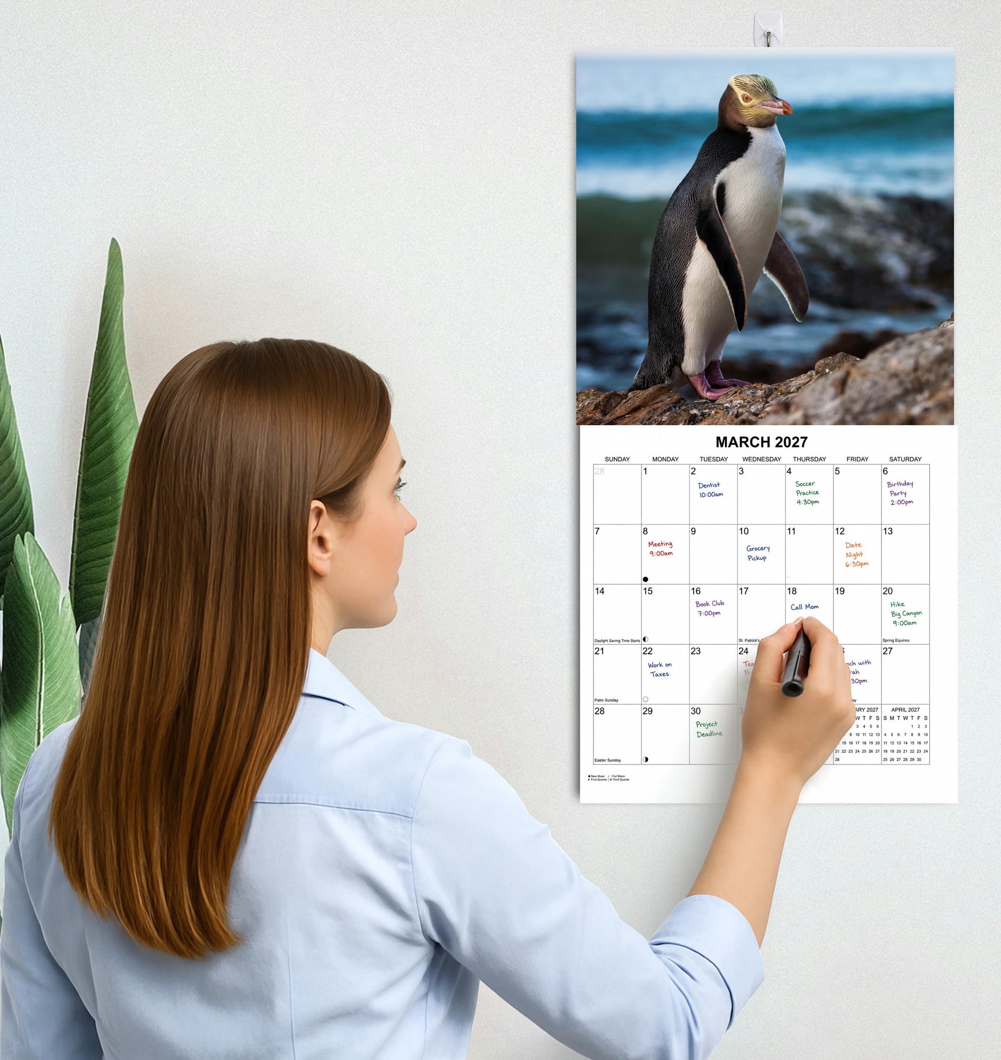 2027 Penguins Monthly Wall Calendar | Cute Animals Calendar 2026-2027