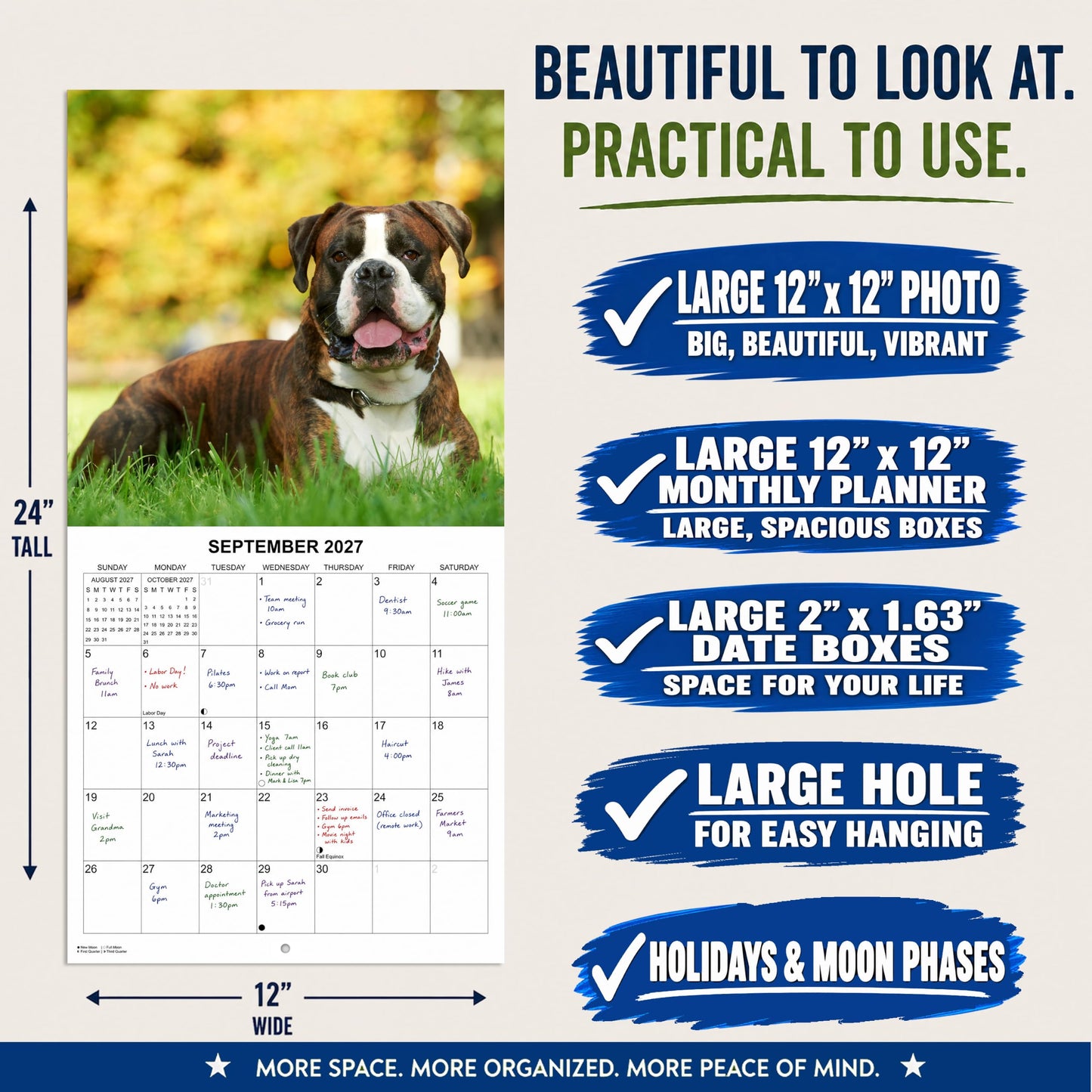 2027 Boxers Monthly Wall Calendar | Boxer Dog Breed 2026 Wall Calendar 2026-2027