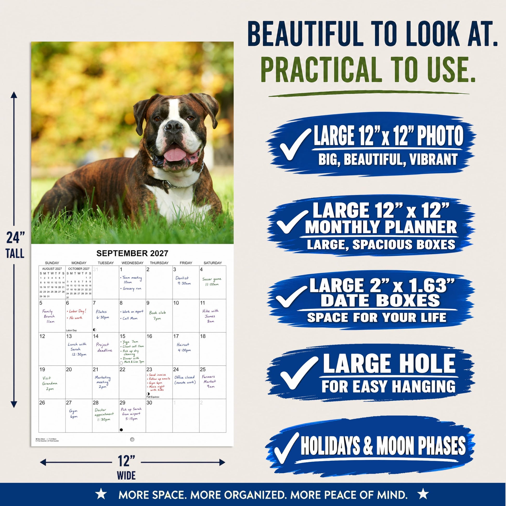 2027 Boxers Monthly Wall Calendar | Boxer Dog Breed 2026 Wall Calendar 2026-2027