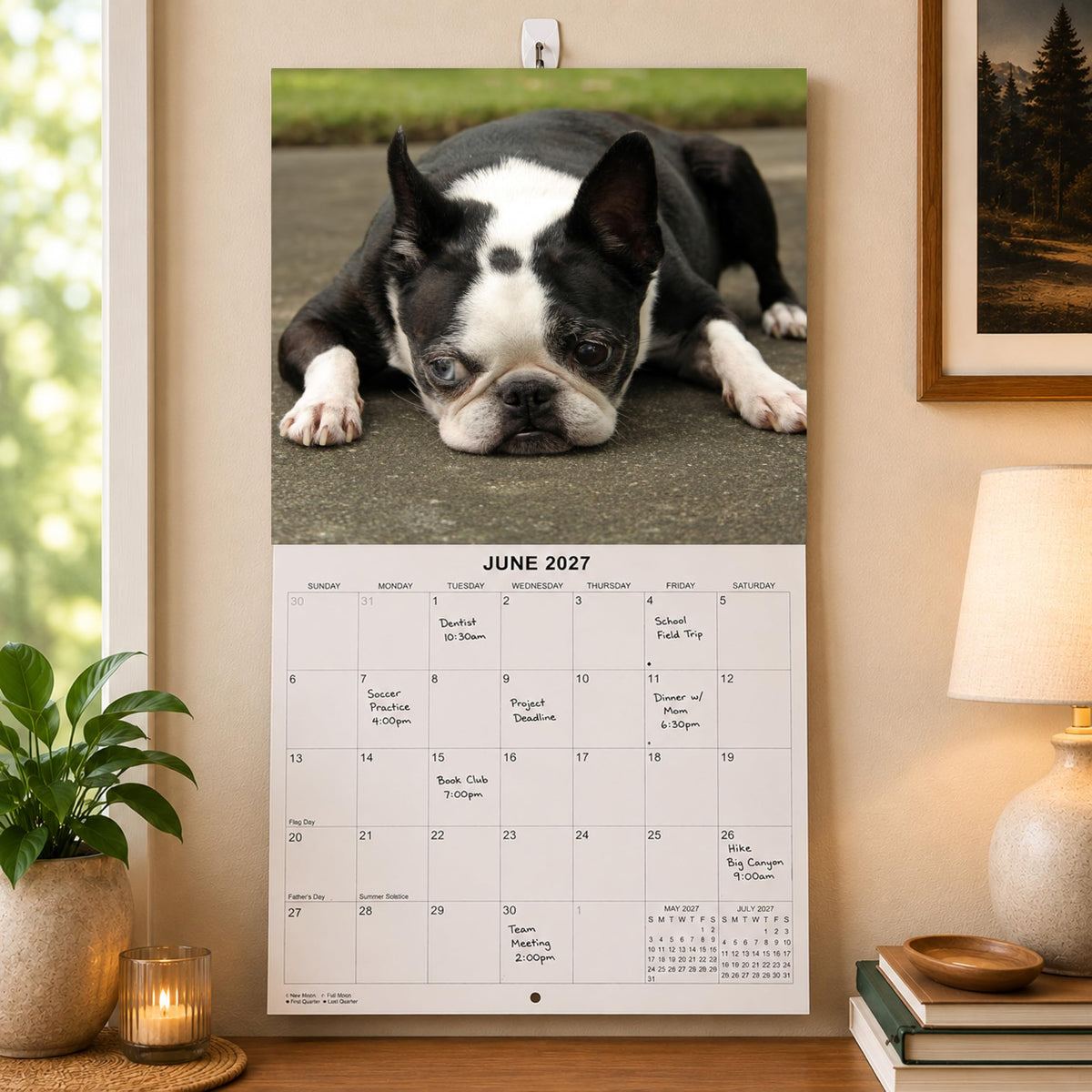 2027 Boston Terriers Monthly Wall Calendar | Dog Calendar September 2026- December 2027