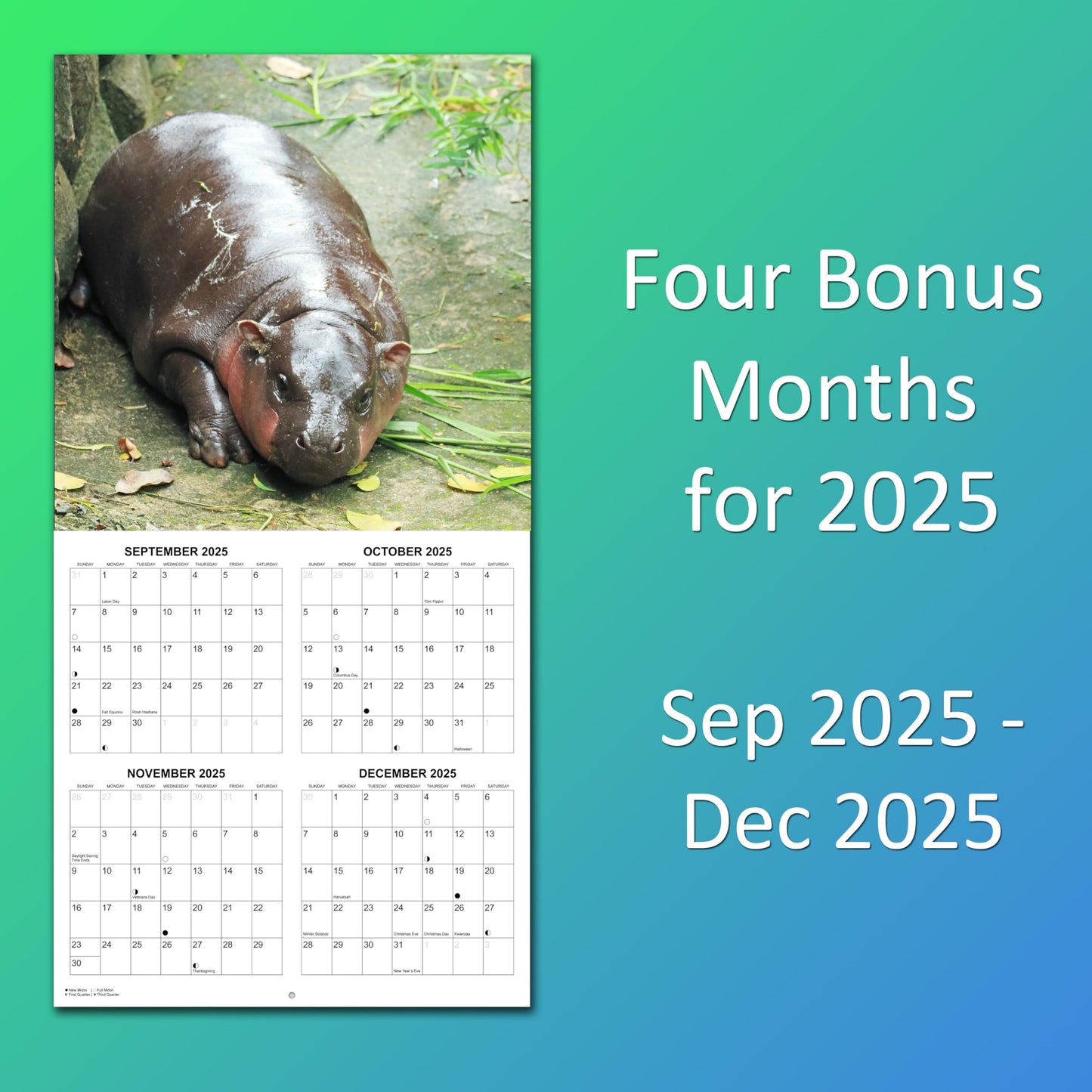 2026 Moo Deng Monthly Wall Calendar | 12" x 24" | Thai Pygmy Hippopotamus Calendar 2025-2026