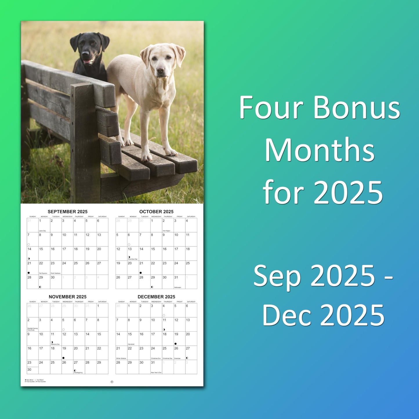 2026 Labs Monthly Wall Calendar | 12" x 24" | Labrador Retriever Dogs Calendar September 2025- December 2026