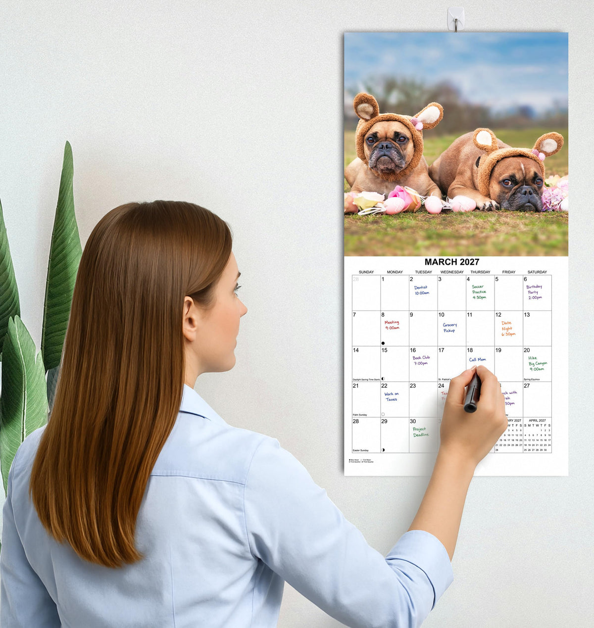 2027 French Bulldogs Monthly Wall Calendar | Cute Dog Calendar 2026-2027