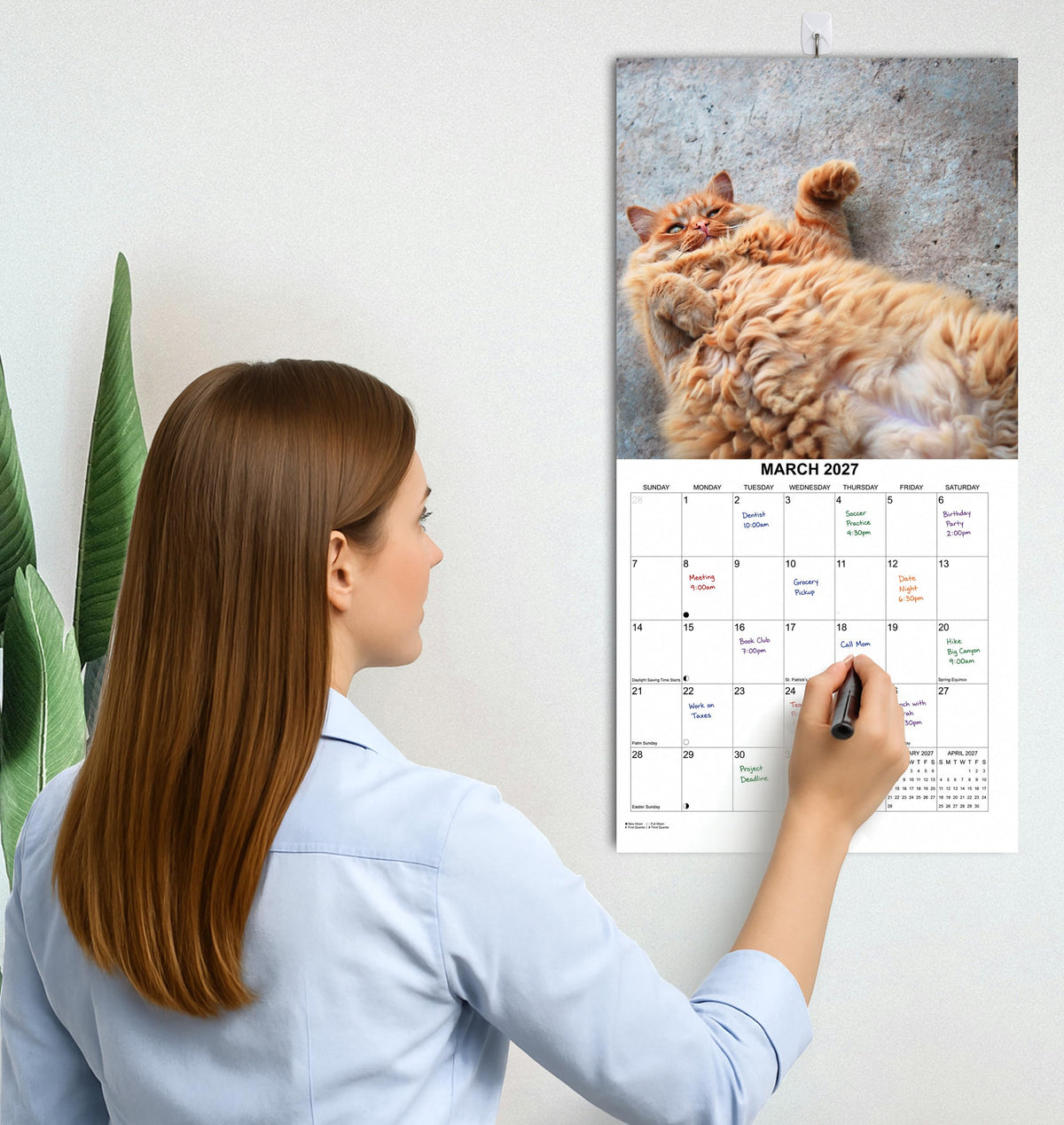 2027 Fat Cats Monthly Wall Calendar | Funny Cats Gag Gift or White Elephant Gift Calendar 2026-2027