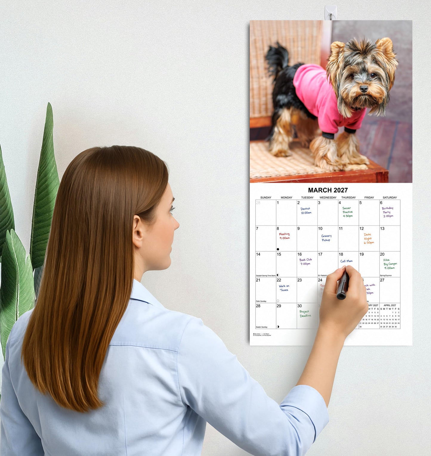2027 Yorkies Monthly Wall Calendar | Yorkshire Terrier Calendar September 2026 - December 2027