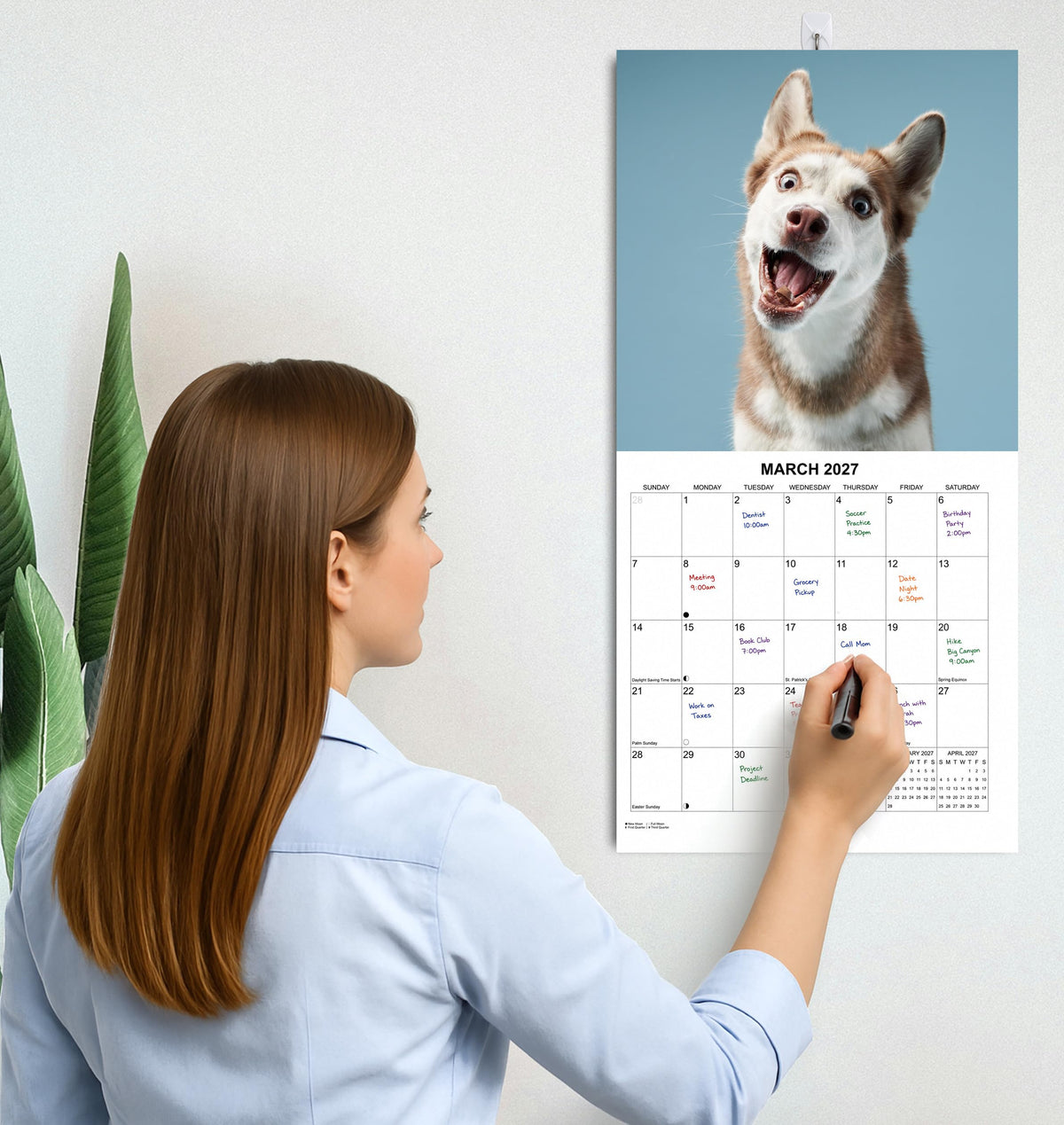 2027 Treat Time Monthly Wall Calendar | Funny Dogs Calendar September 2026 - December 2027