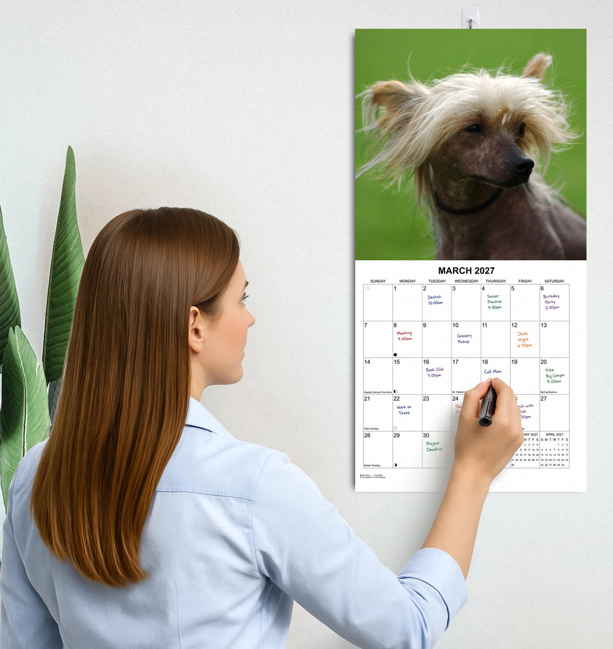 2027 Ugly Dogs Monthly Wall Calendar | Funny White Elephant Gift Gag Gift Calendar September 2026 - December 2027