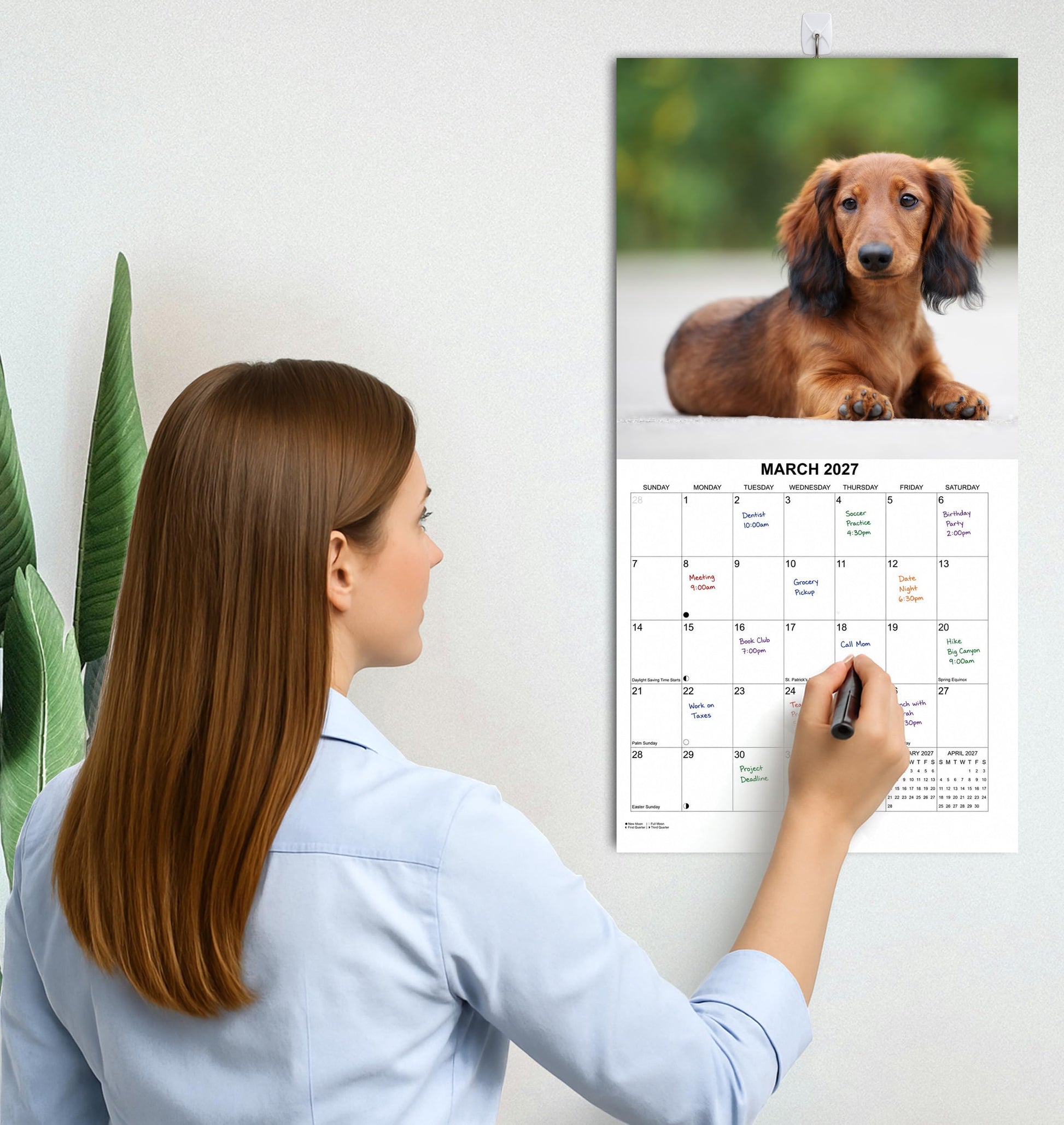 2027 Dachshunds Weiner Dog Monthly Wall Calendar | Wiener Dogs Calendar September 2026 - December 2027
