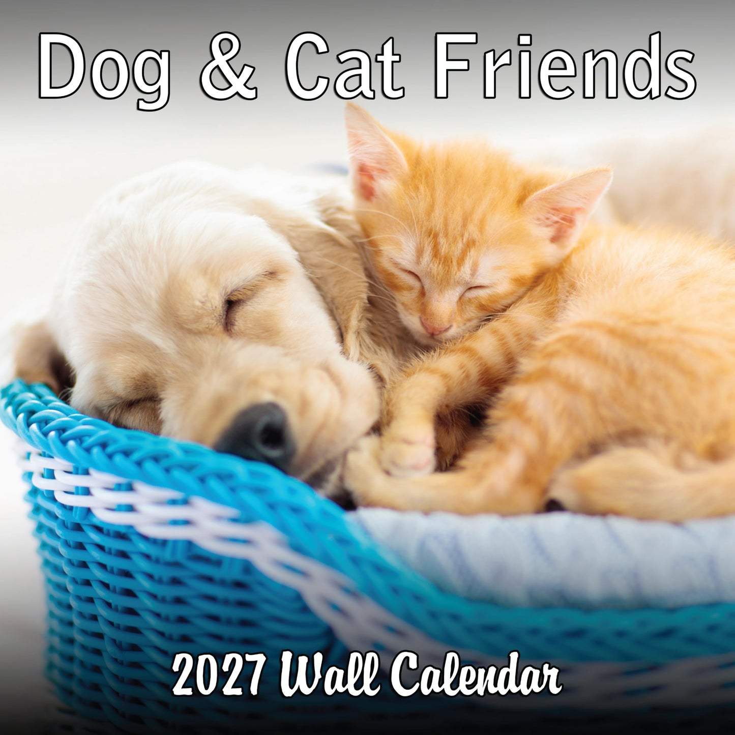 2027 Dog & Cat Friends Monthly Wall Calendar | Cute Animals Calendar 2026-2027