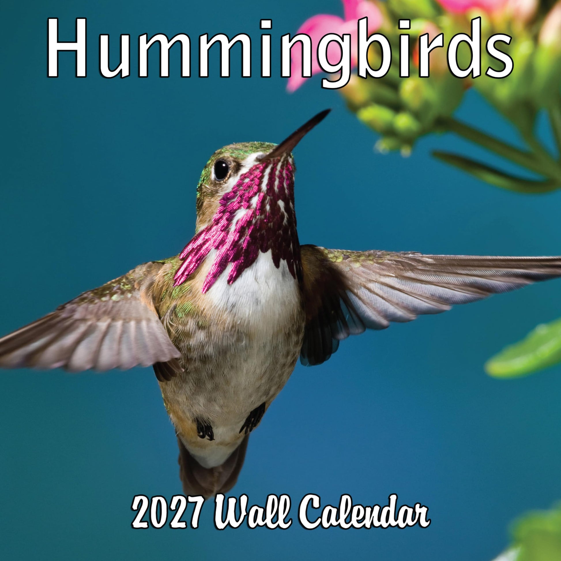 2027 Hummingbirds Monthly Wall Calendar | Animals Calendar 2026-2027