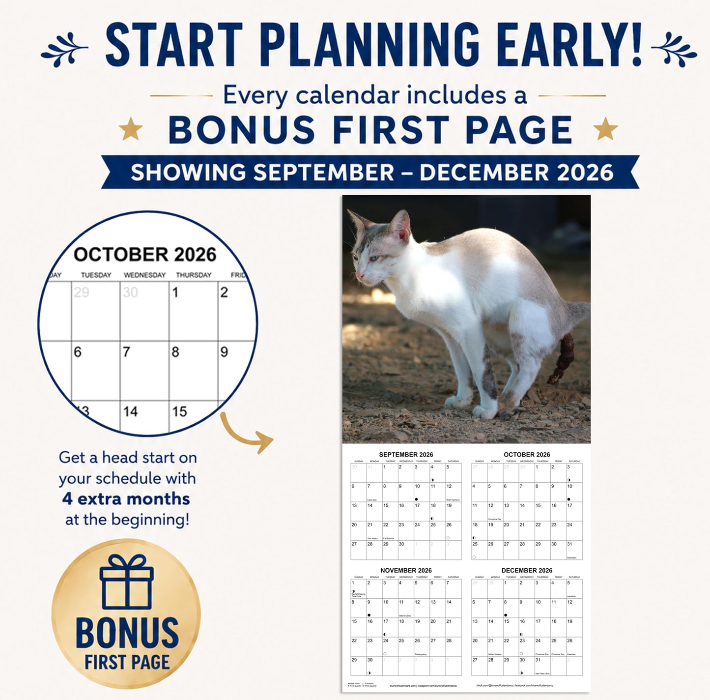 2027 Fecal Felines Monthly Wall Calendar - Pooping Cats Calendar | 2027 Prank Gift White Elephant or Gag Gift Calendar 2026-2027