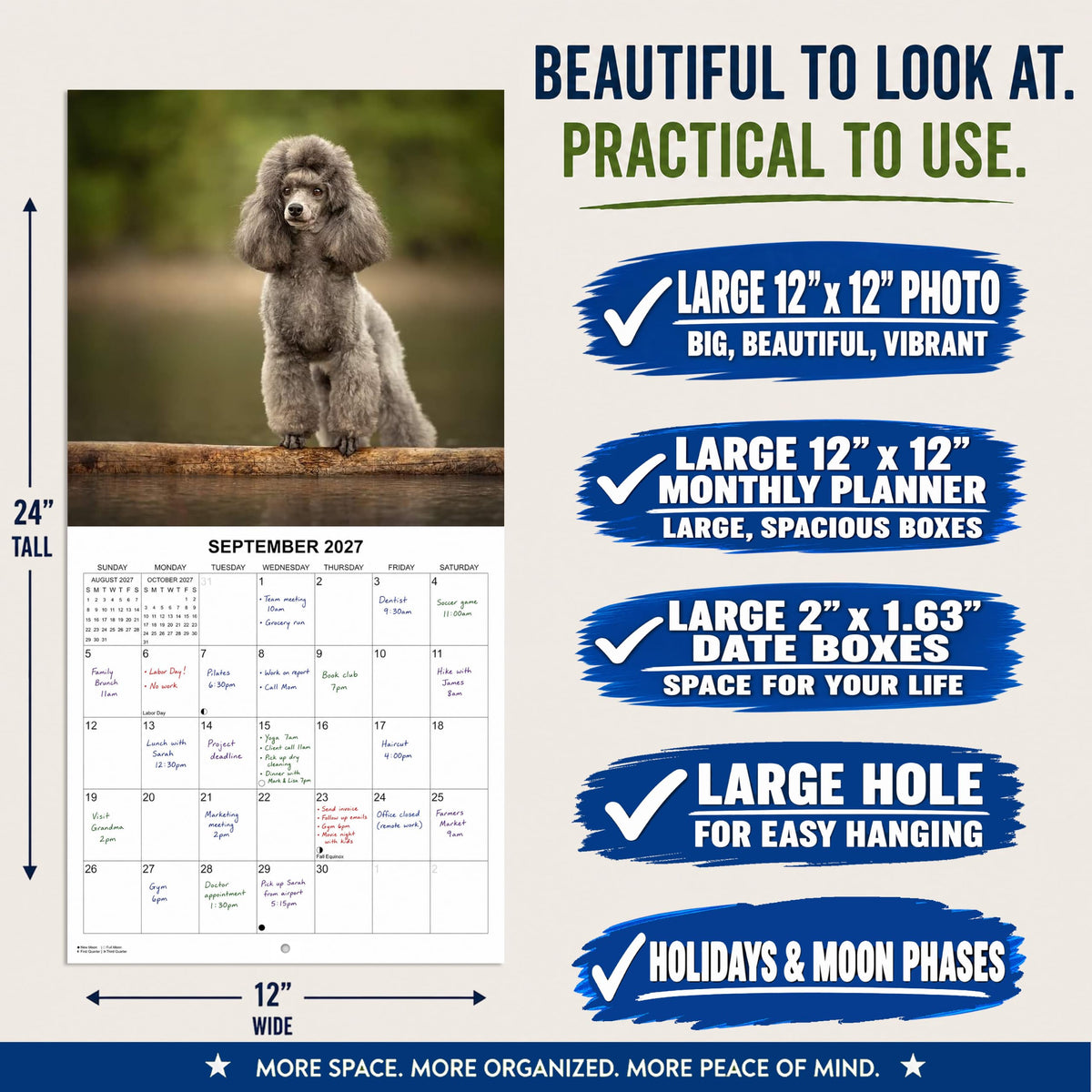 2027 Poodles Monthly Wall Calendar | Dog 2027 Wall Calendar 2026-2027