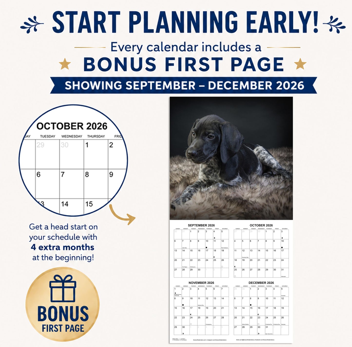 2027 German Shorthaired Pointer Monthly Wall Calendar | Dog Calendar September 2026 - December 2027