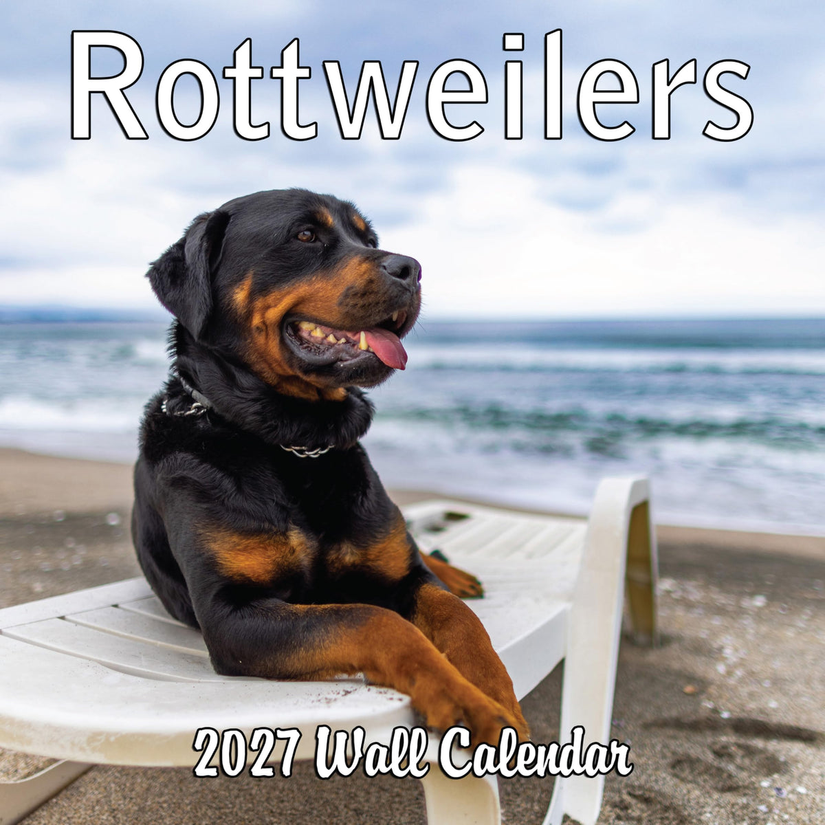 2027 Rottweilers Monthly Wall Calendar | Dogs Calendar September 2026 - December 2027