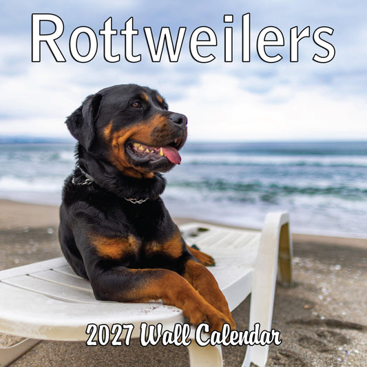 2027 Rottweilers Monthly Wall Calendar | Dogs Calendar September 2026 - December 2027