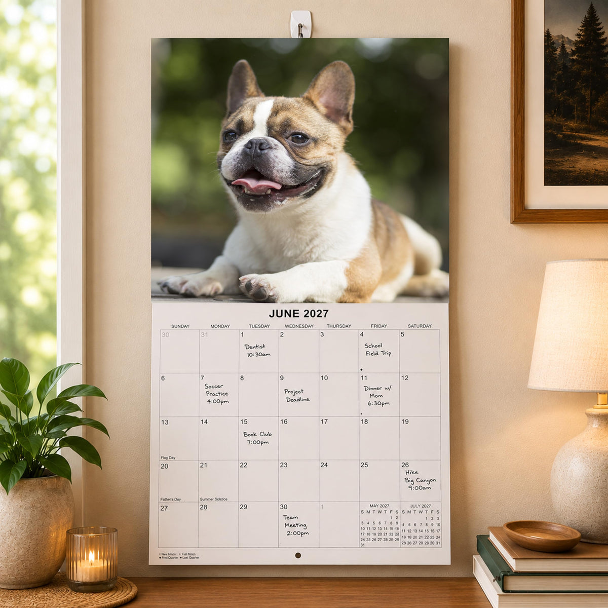 2027 French Bulldogs Monthly Wall Calendar | Cute Dog Calendar 2026-2027