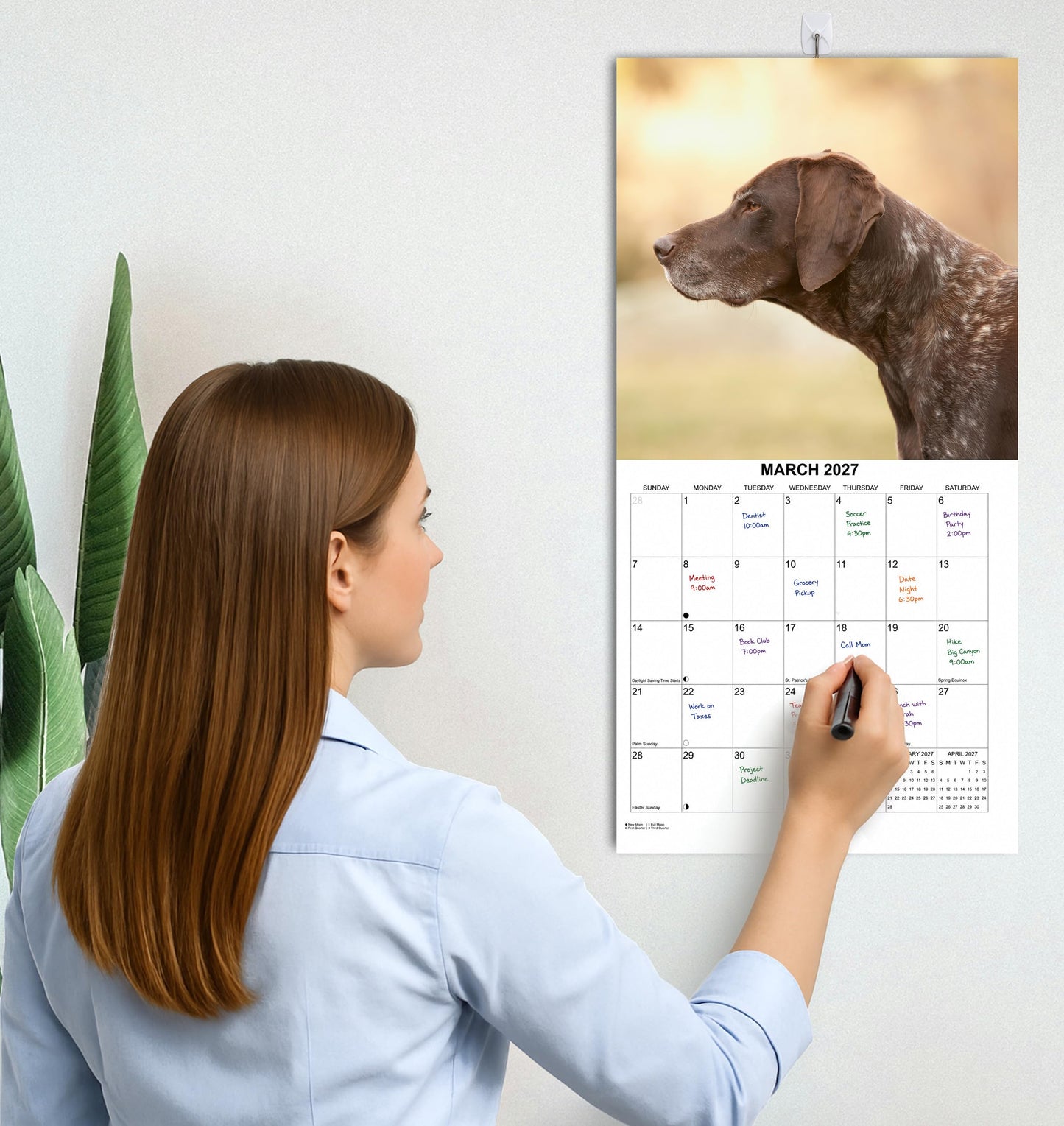 2027 German Shorthaired Pointer Monthly Wall Calendar | Dog Calendar September 2026 - December 2027