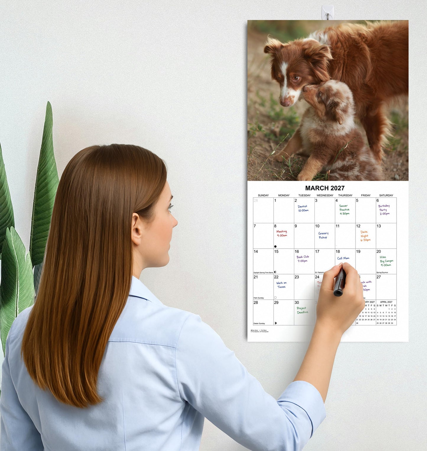 2027 Border Collies Monthly Wall Calendar | Dog Calendar September 2026 - December 2027