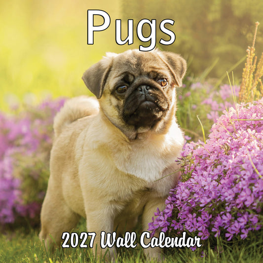 2027 Pugs Monthly Wall Calendar | Cute Dogs Calendar September 2026 - December 2027