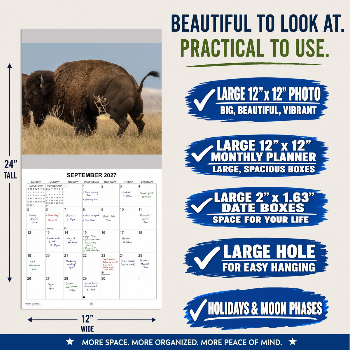 2027 Crapping Creatures Monthly Wall Calendar - Wild Animals Pooping Calendar | 2026 Prank Gift White Elephant or Gag Gift Calendar 2026-2027