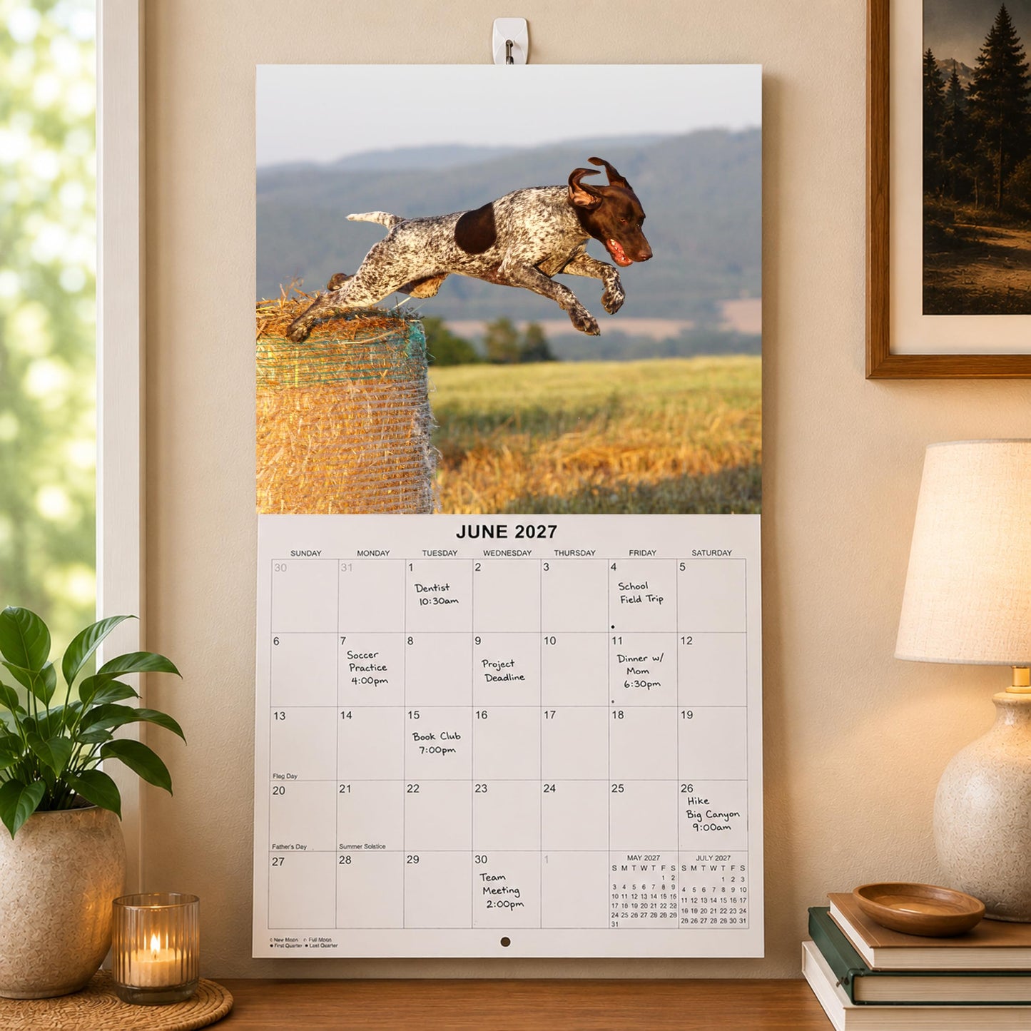 2027 German Shorthaired Pointer Monthly Wall Calendar | Dog Calendar September 2026 - December 2027