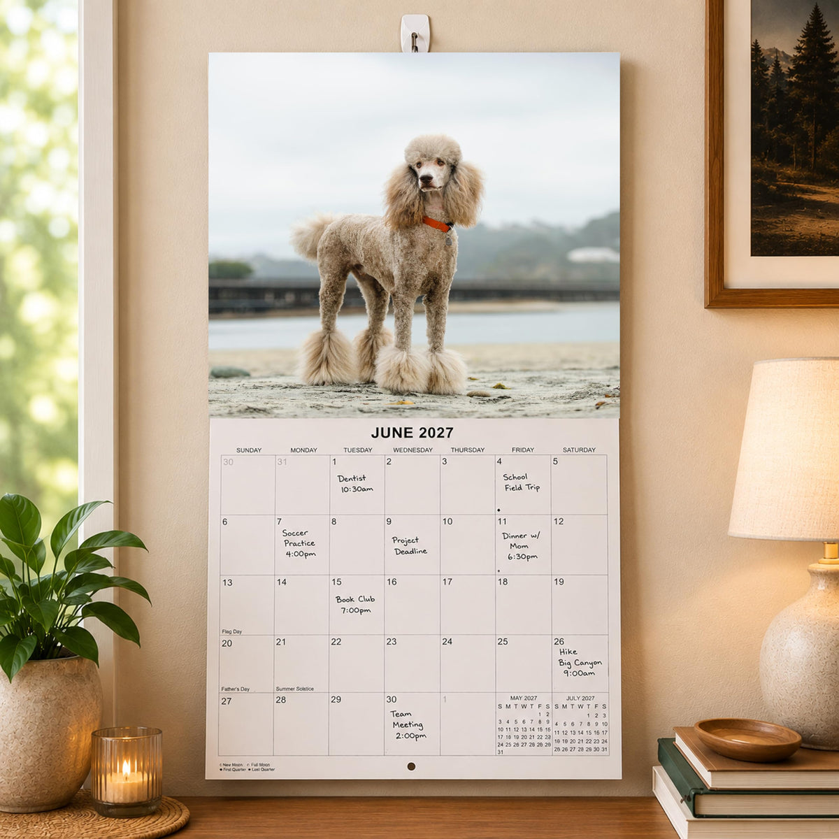 2027 Poodles Monthly Wall Calendar | Dog 2027 Wall Calendar 2026-2027