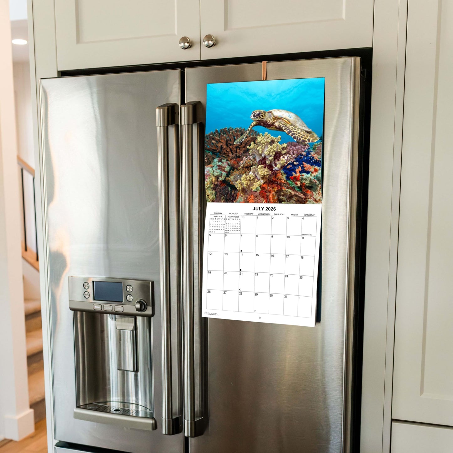 2026 Sea Turtles Monthly Wall Calendar | 12" x 24" | Animals Calendar 2025-2026