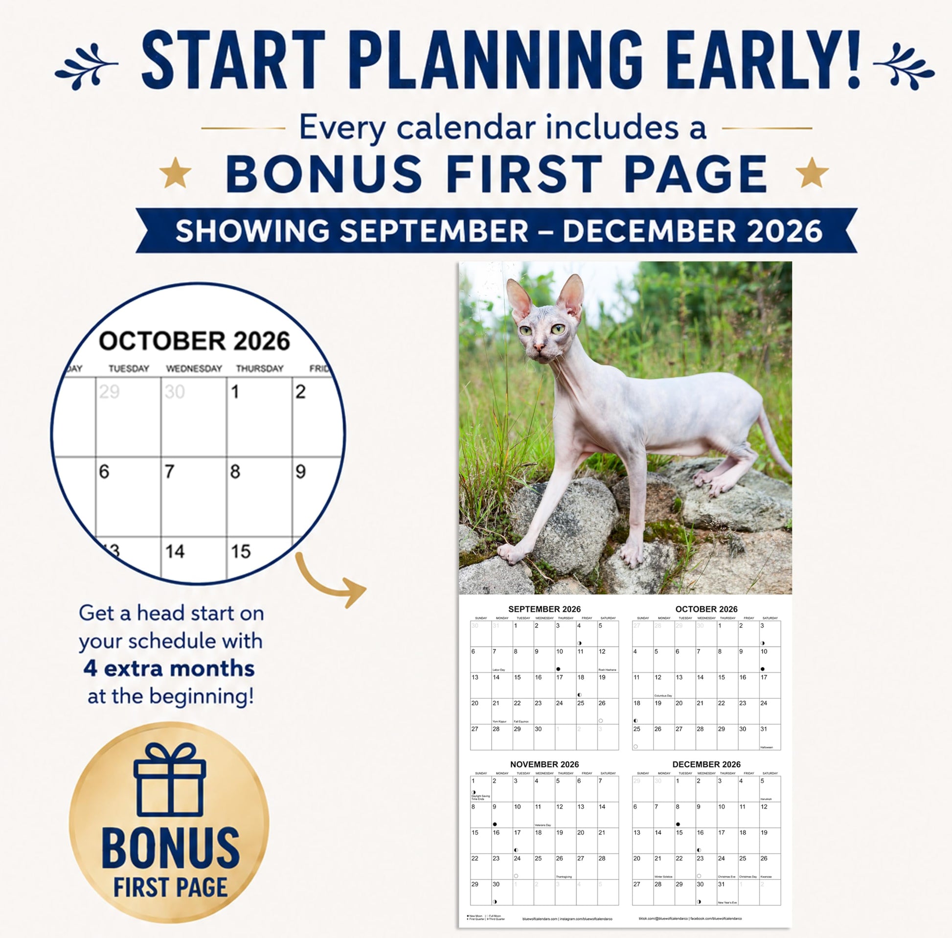 2027 Hairless Cats Monthly Wall Calendar | Cute Sphynx Cats Calendar 2026-2027