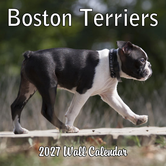 2027 Boston Terriers Monthly Wall Calendar | Dog Calendar September 2026- December 2027