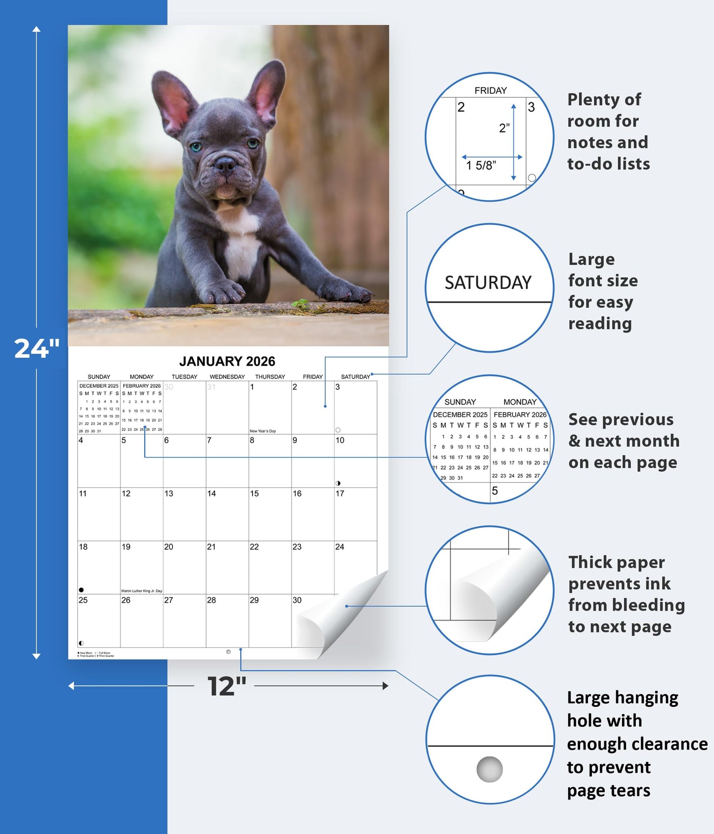 2026 French Bulldogs Monthly Hangable Wall Calendar | 12" x 24" | September 2025 - December 2026 Dog Calendar
