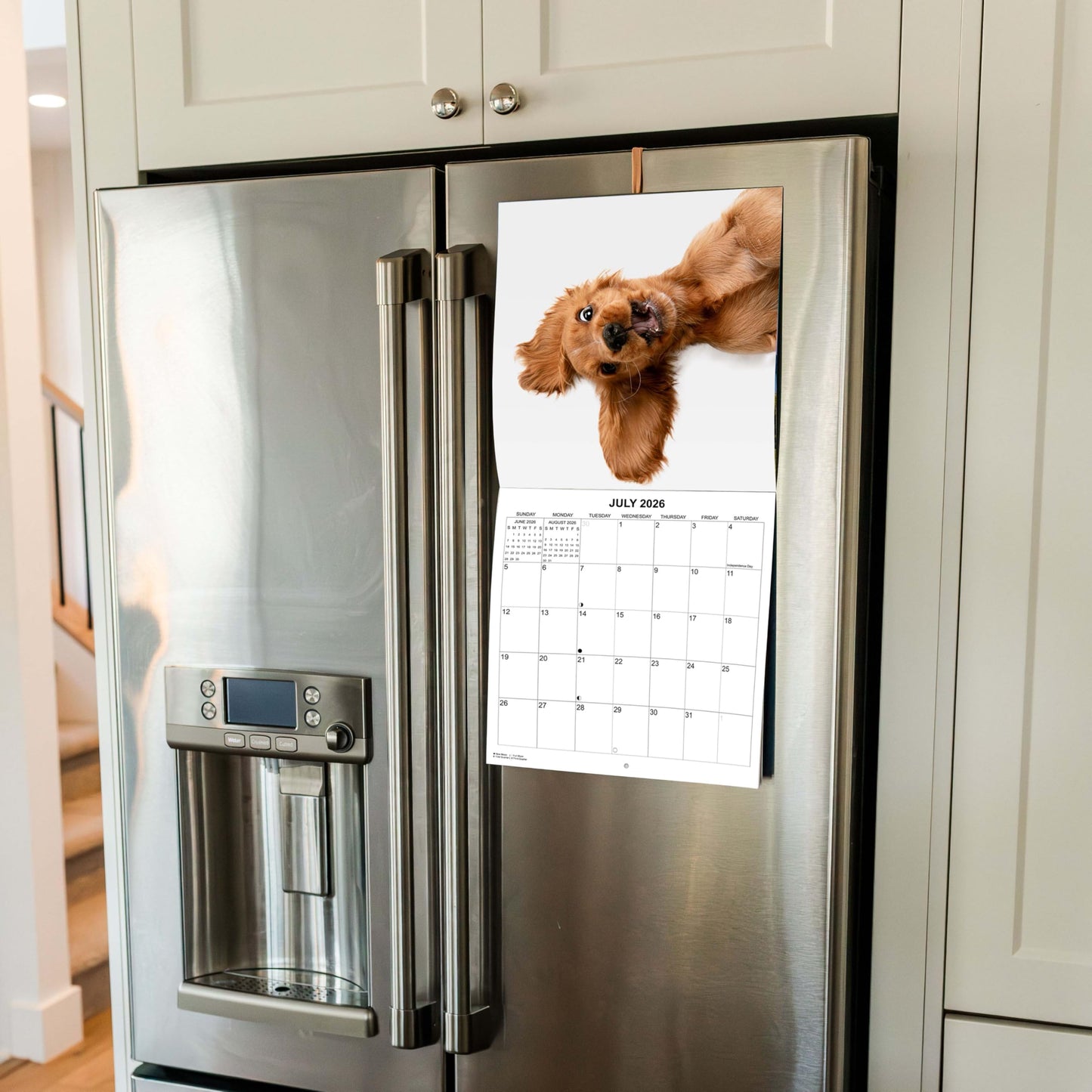 2026 Silly Dogs Monthly Wall Calendar | 12" x 24" | Funny Dogs Calendar September 2025 - December 2026