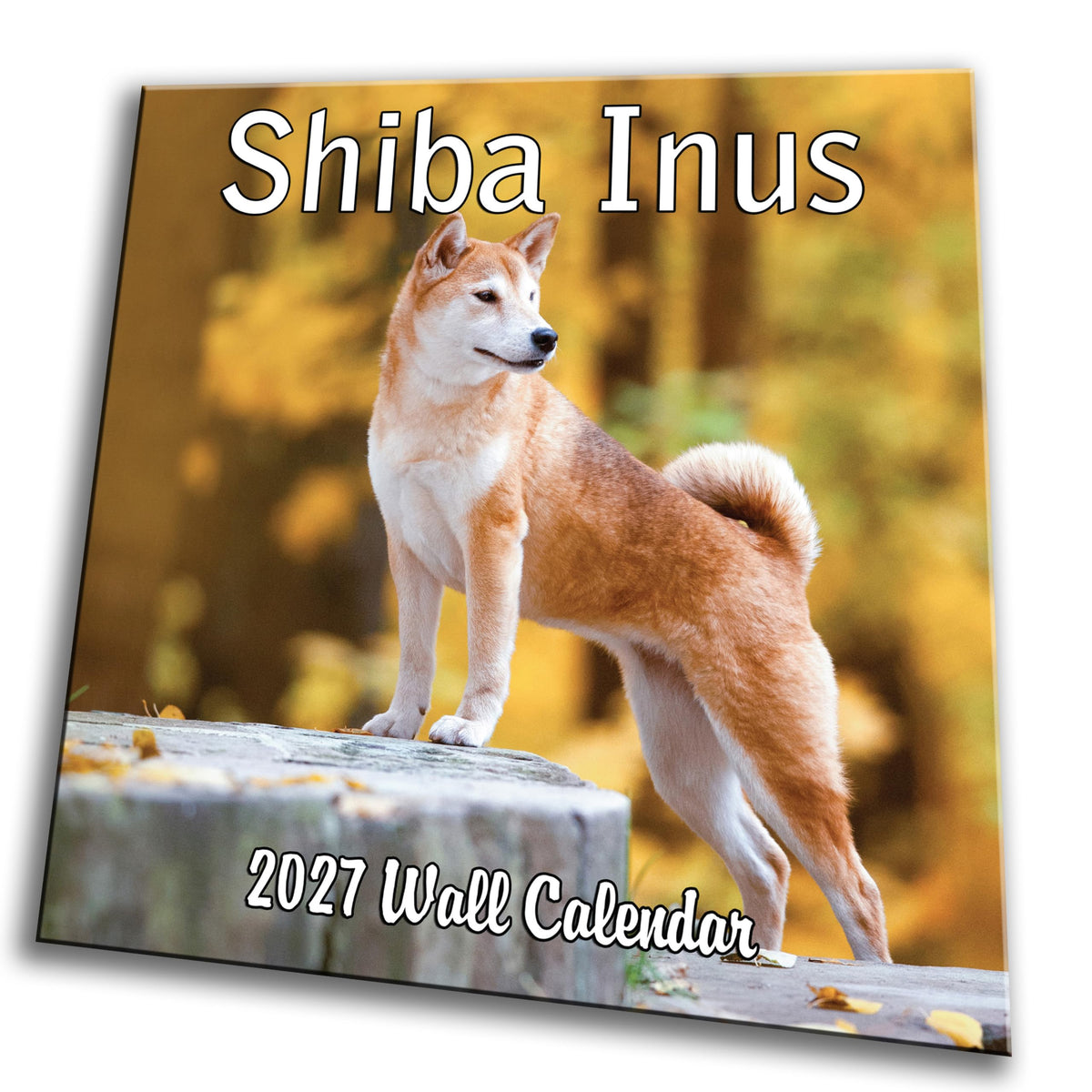 2027 Shiba Inus Monthly Wall Calendar | Cute Dogs 2027 Wall Calendar 2026-2027