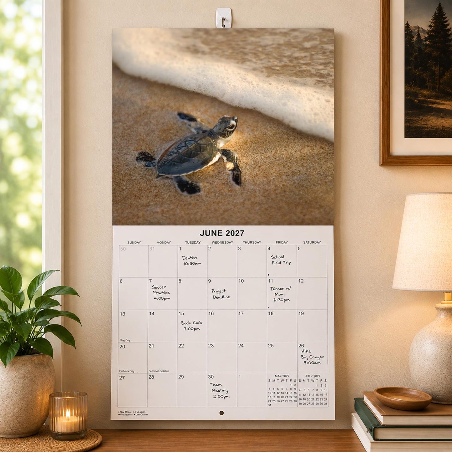 2027 Sea Turtles Monthly Wall Calendar | Cute Animals Sea Creatures Calendar 2026-2027
