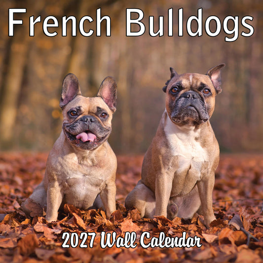 2027 French Bulldogs Monthly Wall Calendar | Cute Dog Calendar 2026-2027