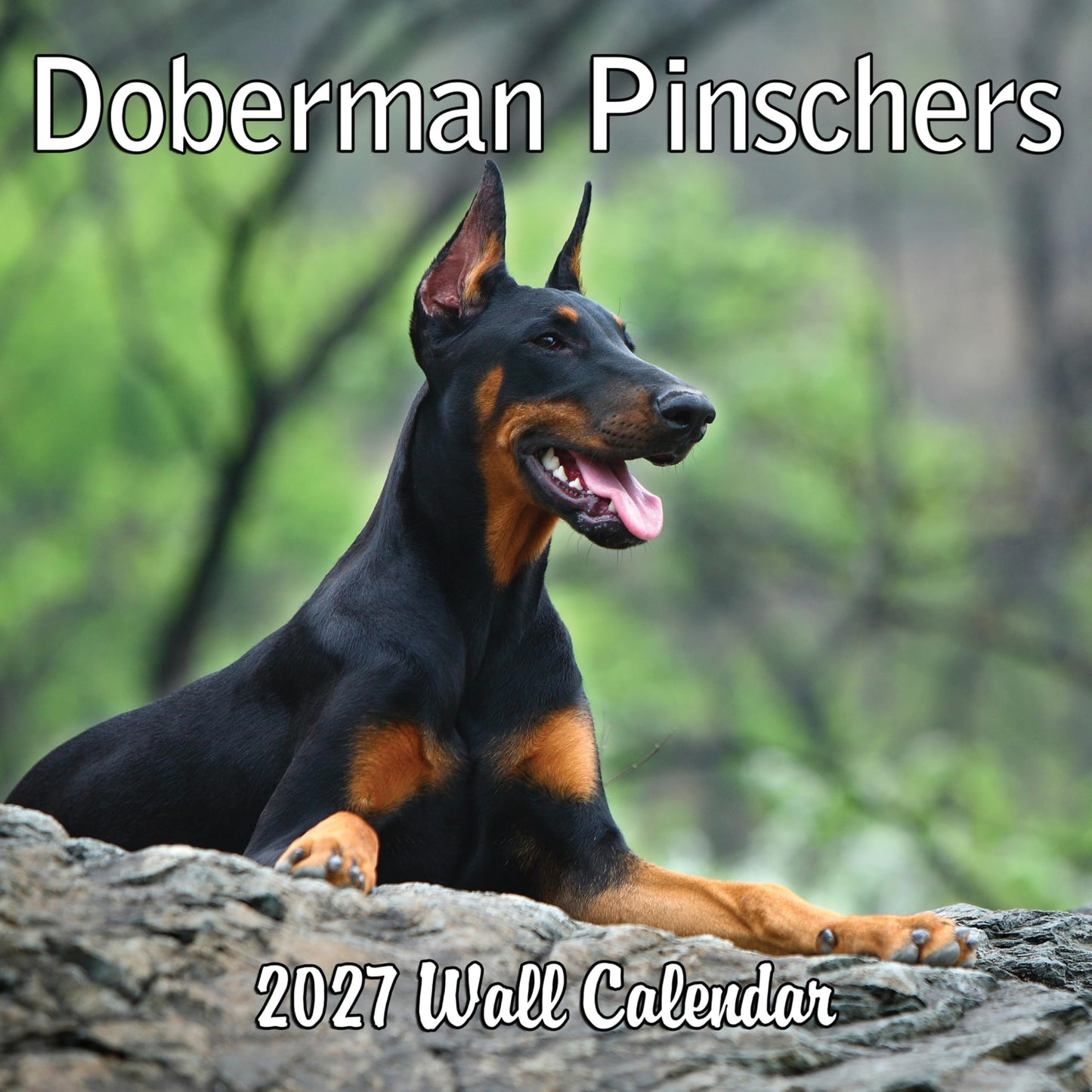 2027 Doberman Pinschers Monthly Wall Calendar | Dog Calendar September 2026 - December 2027