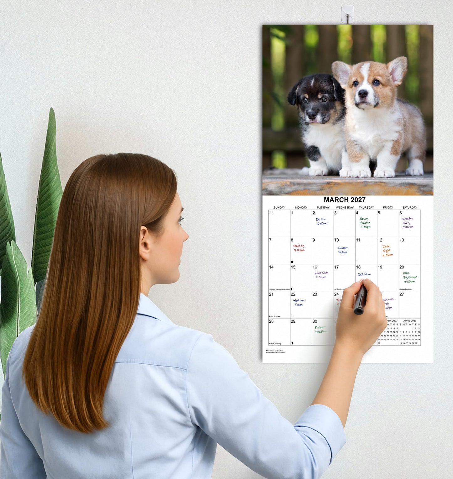2027 Corgis Monthly Wall Calendar | Cute Dog Calendar September 2026 - December 2027