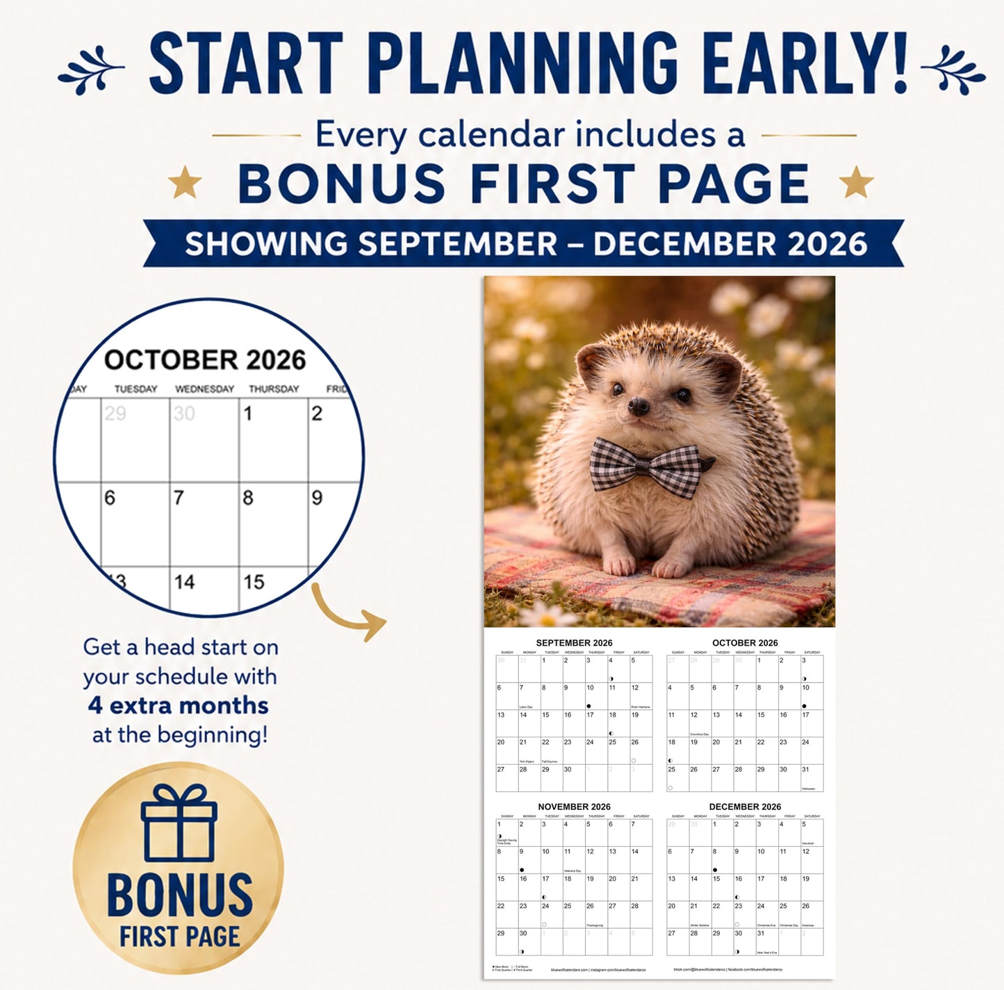 2027 Hedgehogs Monthly Wall Calendar | Cute Animals Calendar 2026-2027