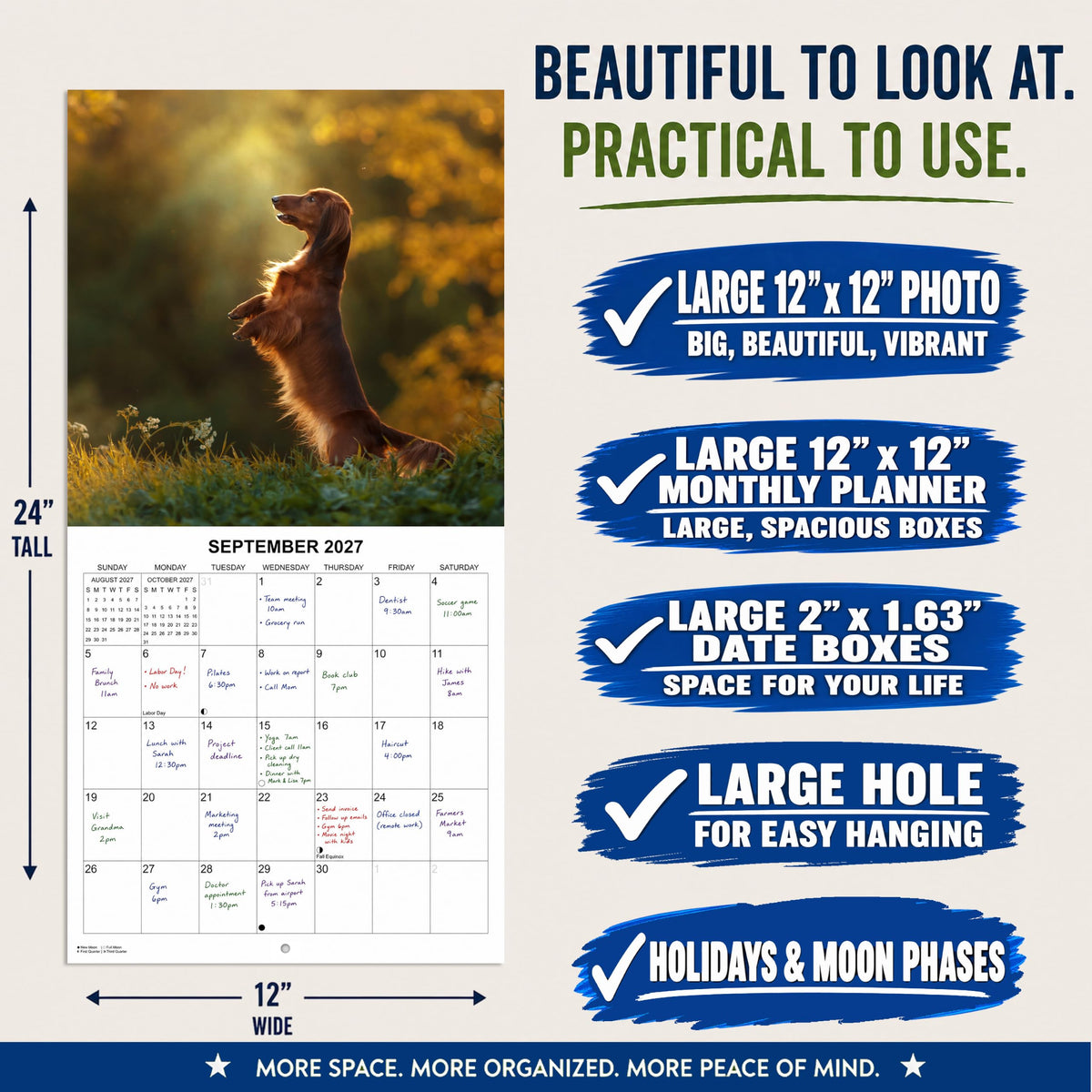 2027 Dachshunds Weiner Dog Monthly Wall Calendar | Wiener Dogs Calendar September 2026 - December 2027