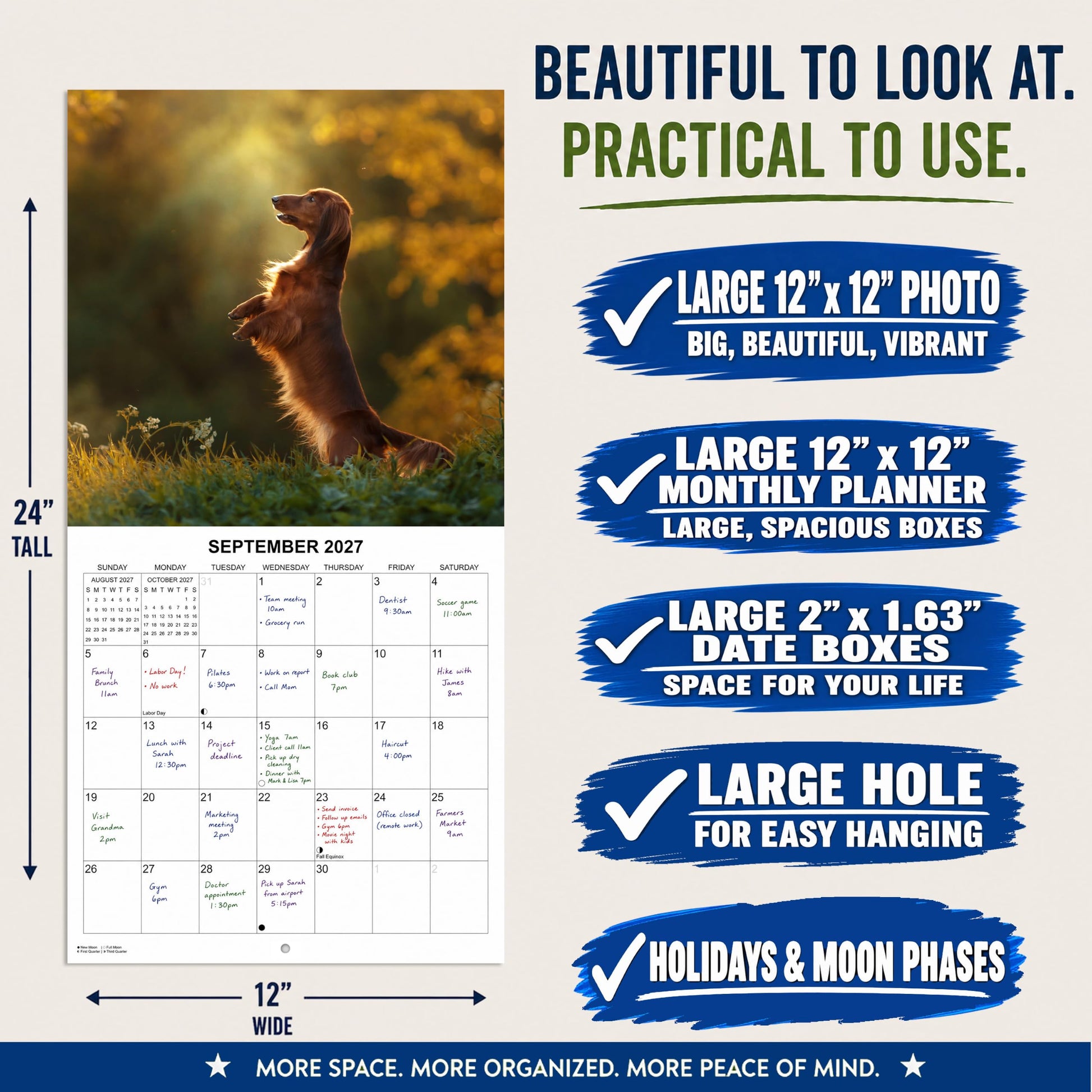 2027 Dachshunds Weiner Dog Monthly Wall Calendar | Wiener Dogs Calendar September 2026 - December 2027