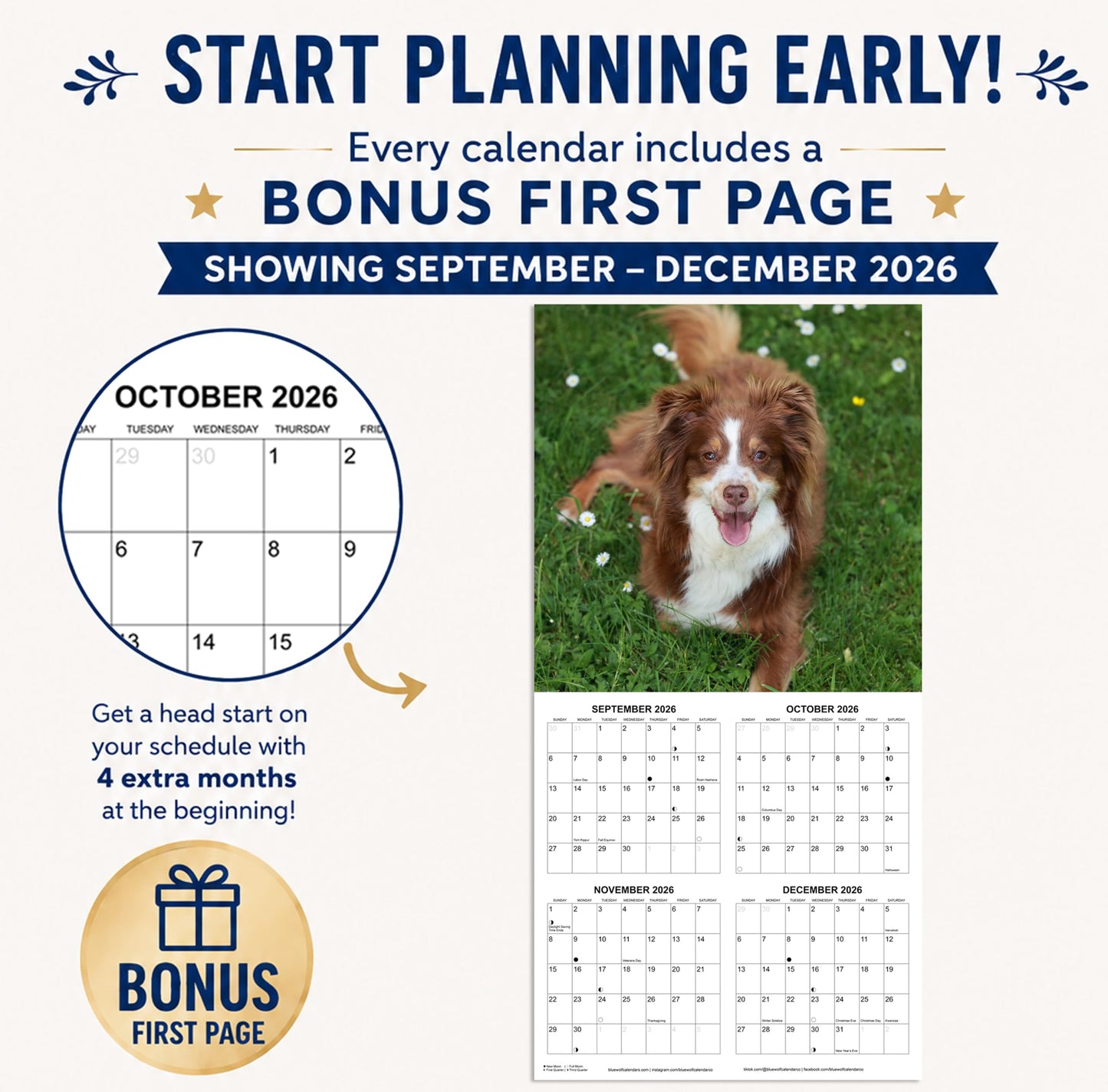 2027 Border Collies Monthly Wall Calendar | Dog Calendar September 2026 - December 2027