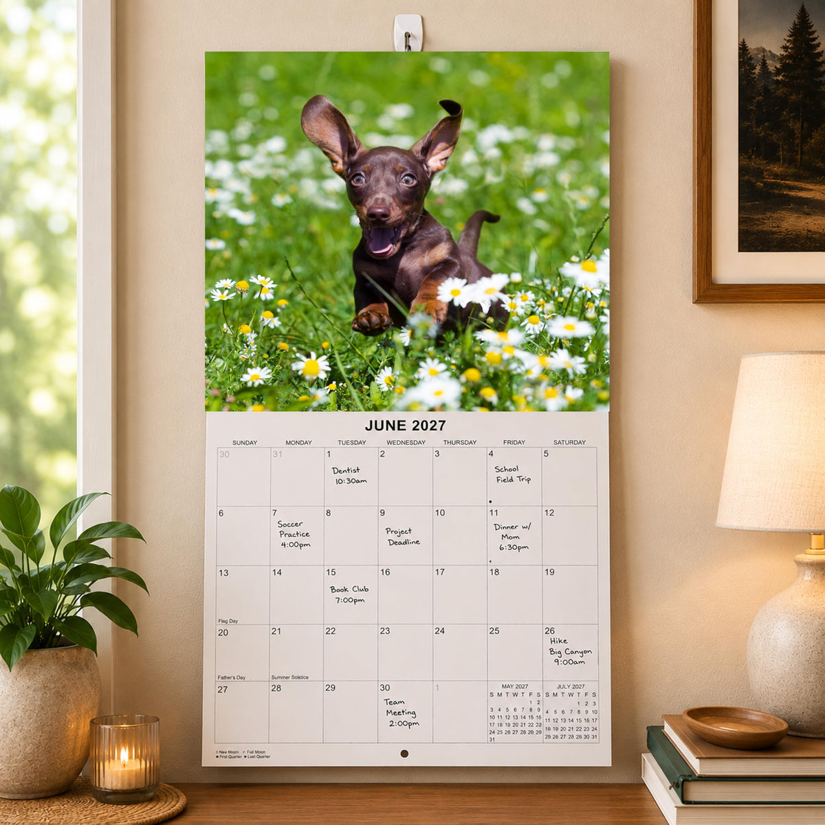 2027 Dachshunds Weiner Dog Monthly Wall Calendar | Wiener Dogs Calendar September 2026 - December 2027