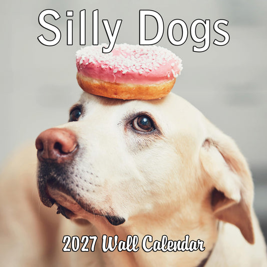 2027 Silly Dogs Monthly Wall Calendar | Funny Dogs Calendar September 2026 - December 2027
