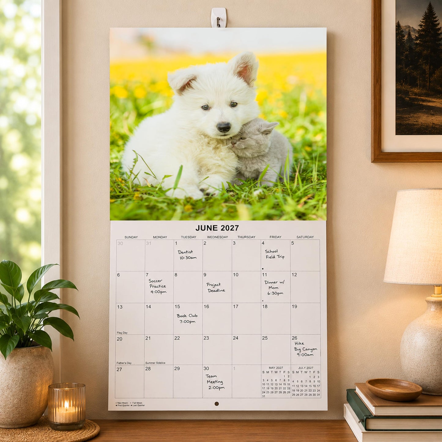 2027 Dog & Cat Friends Monthly Wall Calendar | Cute Animals Calendar 2026-2027