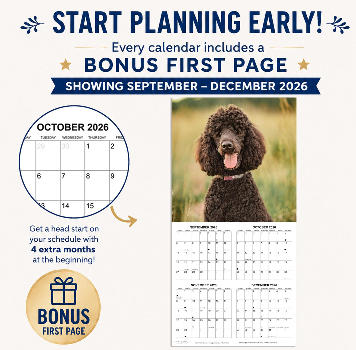 2027 Poodles Monthly Wall Calendar | Dog 2027 Wall Calendar 2026-2027