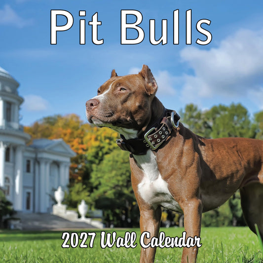 2027 Pit Bulls Monthly Wall Calendar | Pitbull Dog Calendar September 2026 - December 2027
