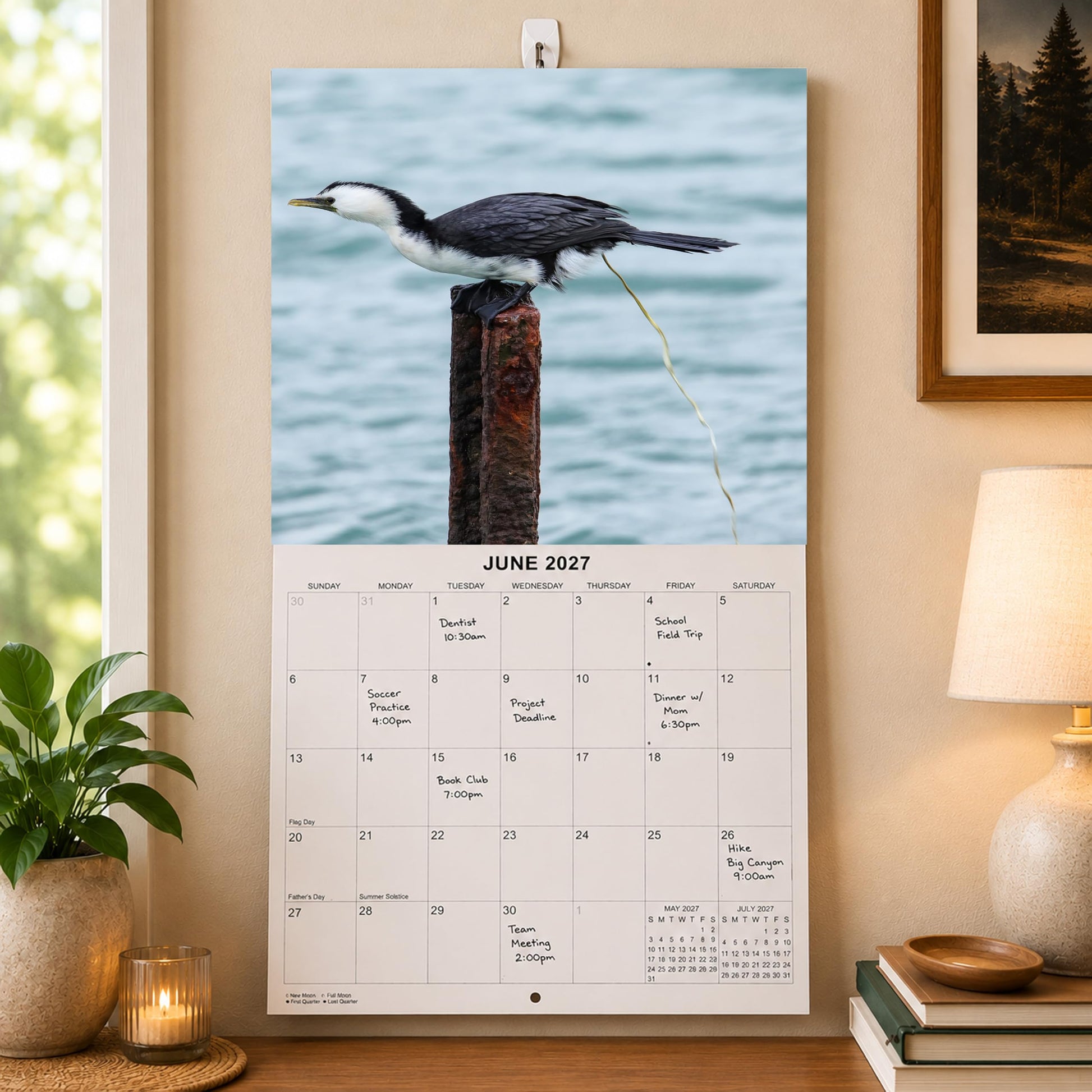 2027 Crapping Creatures Monthly Wall Calendar - Wild Animals Pooping Calendar | 2026 Prank Gift White Elephant or Gag Gift Calendar 2026-2027