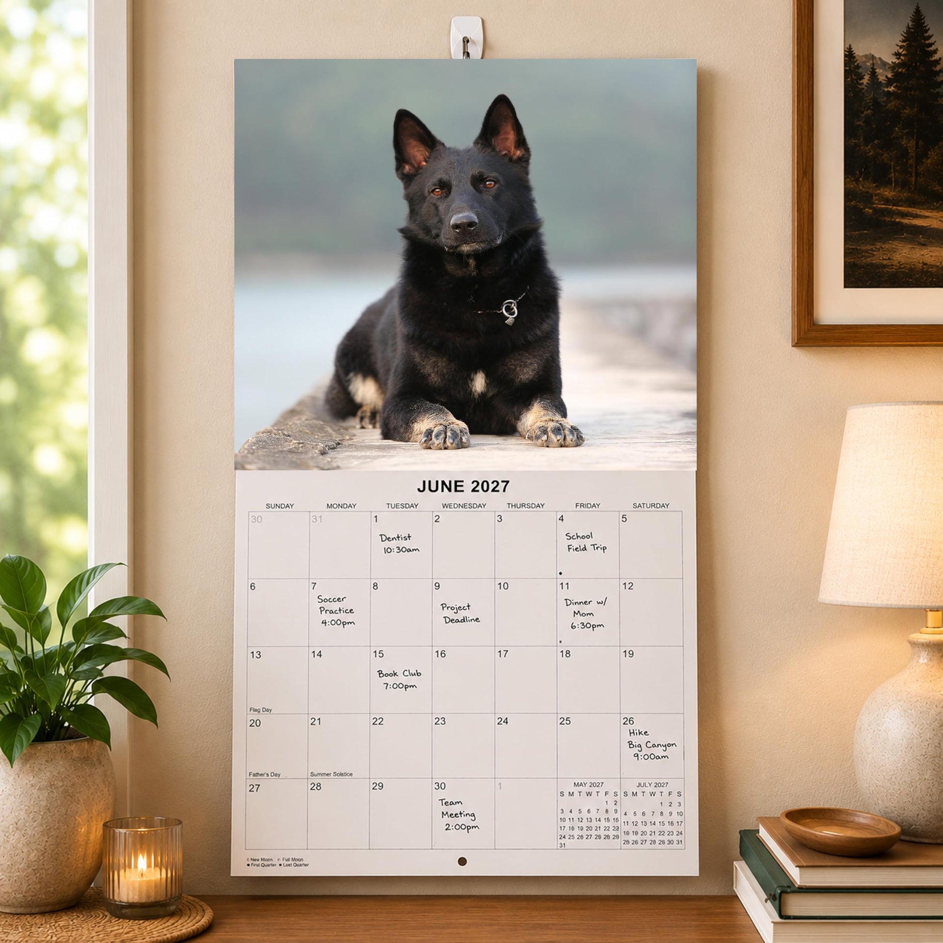 2027 German Shepherds Monthly Wall Calendar | Dog Calendar September 2026 - December 2027