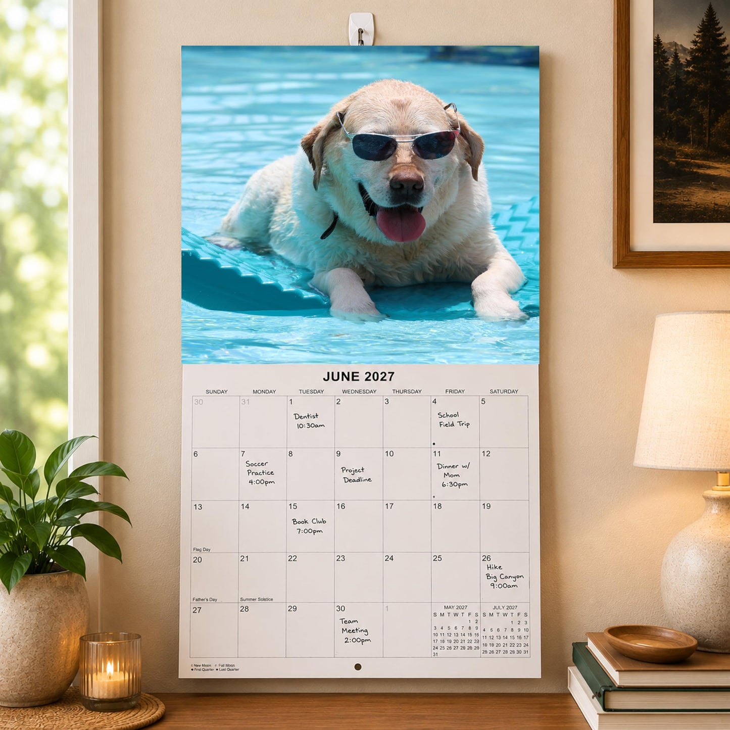 2027 Silly Dogs Monthly Wall Calendar | Funny Dogs Calendar September 2026 - December 2027