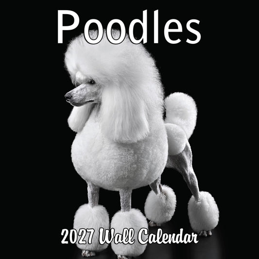 2027 Poodles Monthly Wall Calendar | Dog 2027 Wall Calendar 2026-2027