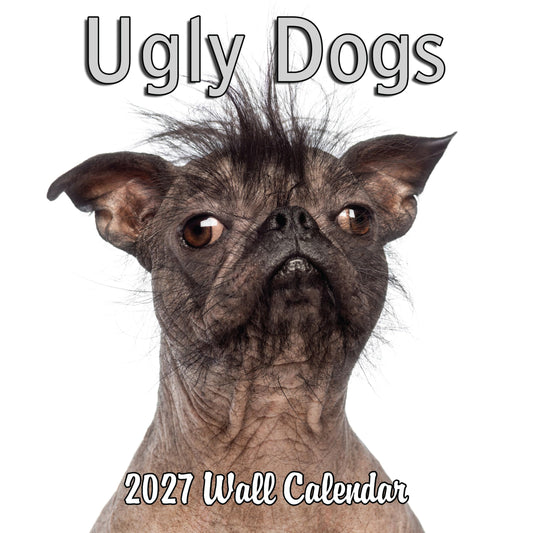 2027 Ugly Dogs Monthly Wall Calendar | Funny White Elephant Gift Gag Gift Calendar September 2026 - December 2027
